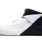 Air Jordan 31 Why Not Zero .1 Michigan PE