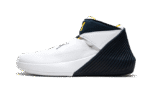 Air Jordan 31 Why Not Zero .1 Michigan PE